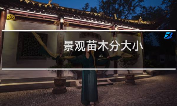 景观苗木分大小