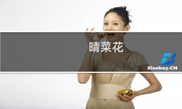 晴菜花 攻略
