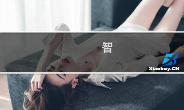 智 呼 攻略