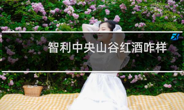 智利中央山谷红酒咋样