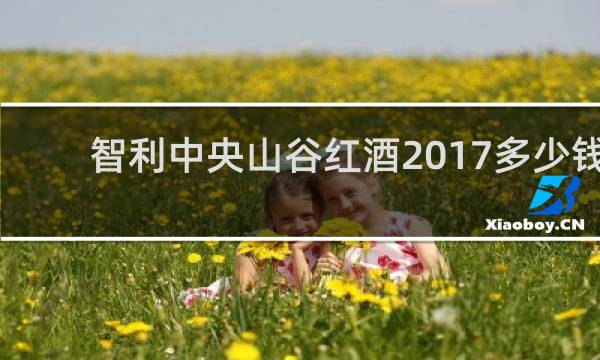 智利中央山谷红酒2017多少钱