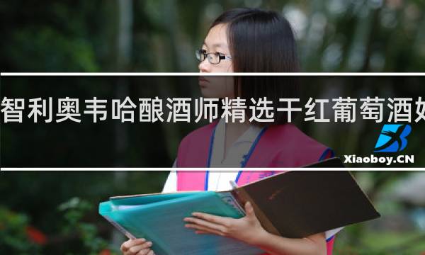 智利奥韦哈酿酒师精选干红葡萄酒好不好