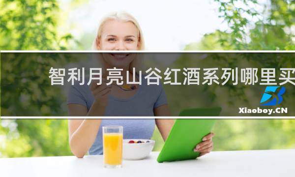 智利月亮山谷红酒系列哪里买