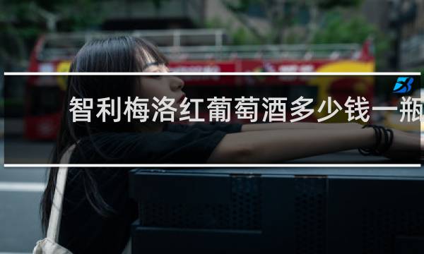 智利梅洛红葡萄酒多少钱一瓶