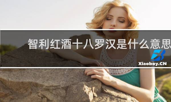 智利红酒十八罗汉是什么意思