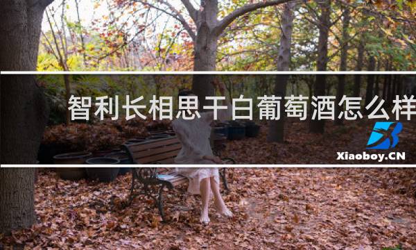 智利长相思干白葡萄酒怎么样