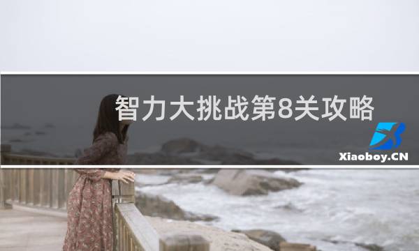 智力大挑战第8关攻略