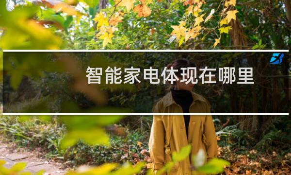 智能家电体现在哪里