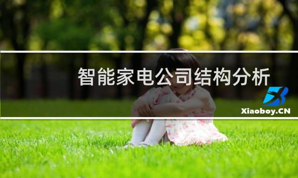 智能家电公司结构分析
