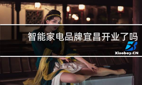 智能家电品牌宜昌开业了吗