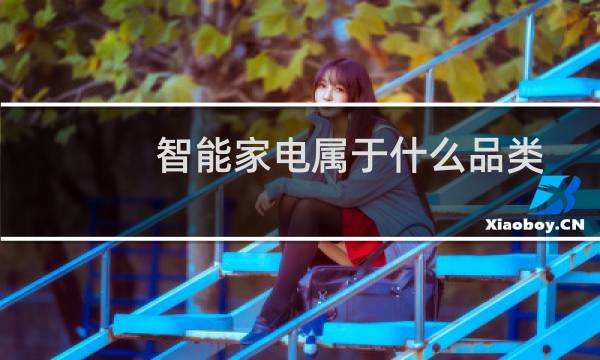 智能家电属于什么品类