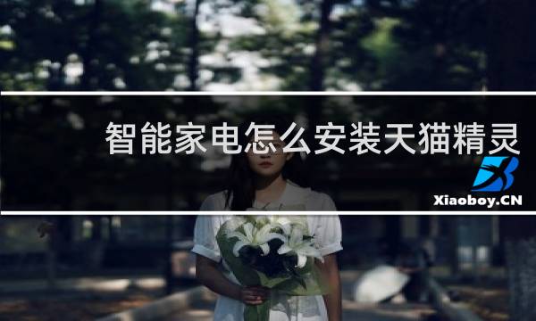 智能家电怎么安装天猫精灵