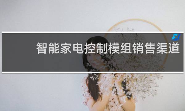 智能家電控制模組銷售渠道