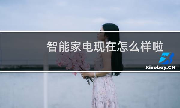 智能家电现在怎么样啦