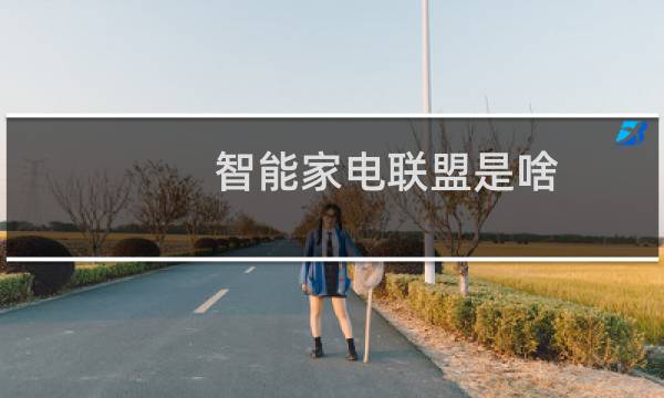 智能家电联盟是啥