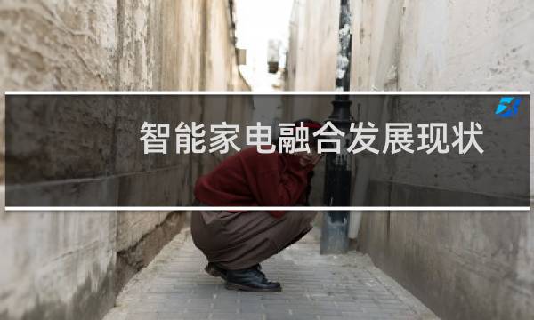 智能家电融合发展现状