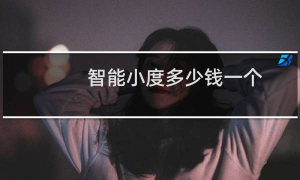 智能小度多少钱一个