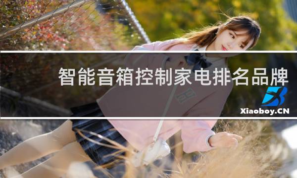 智能音箱控制家电排名品牌