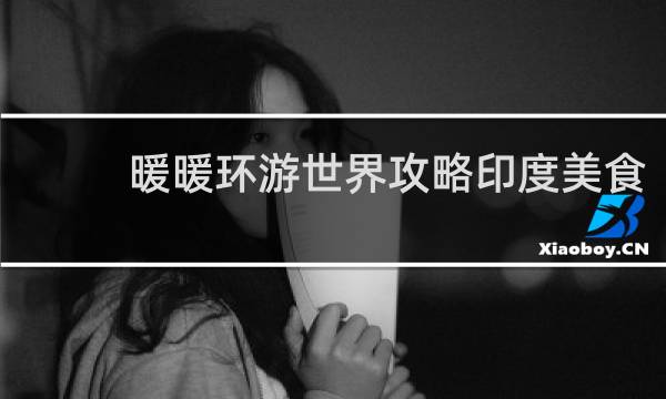 暖暖环游世界攻略印度美食