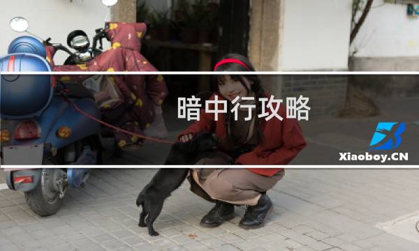 暗中行攻略