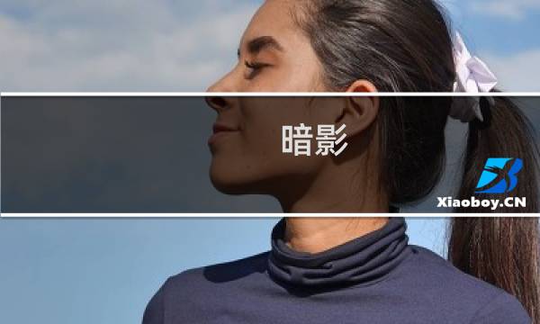 暗影 饥荒 攻略