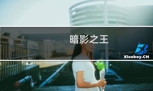 暗影之王 宿命镜面攻略