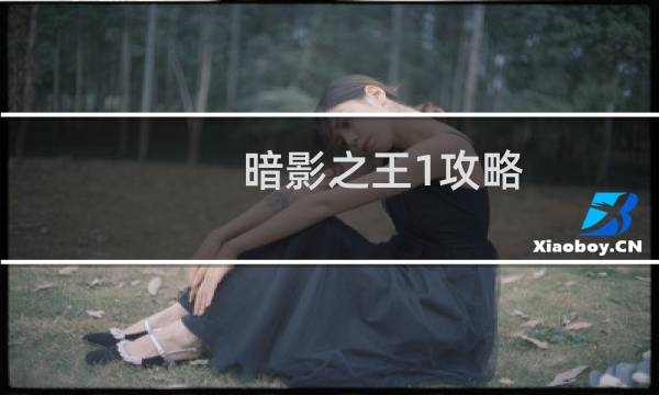 暗影之王1攻略
