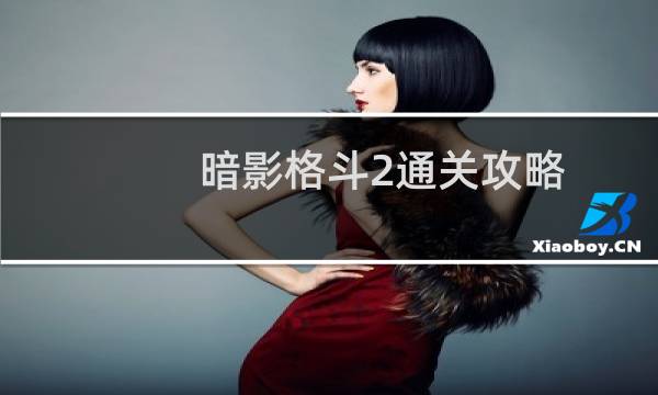 暗影格斗2通关攻略