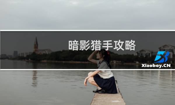暗影猎手攻略