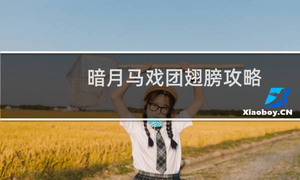 暗月马戏团翅膀攻略