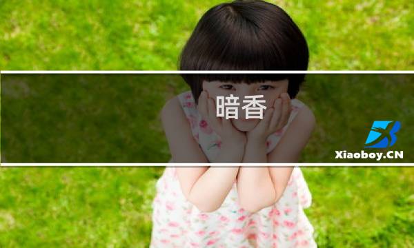暗香 技能 攻略