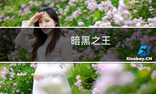暗黑之王 攻略