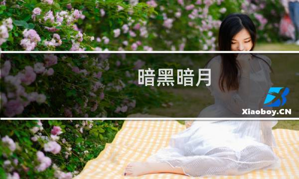 暗黑暗月 攻略
