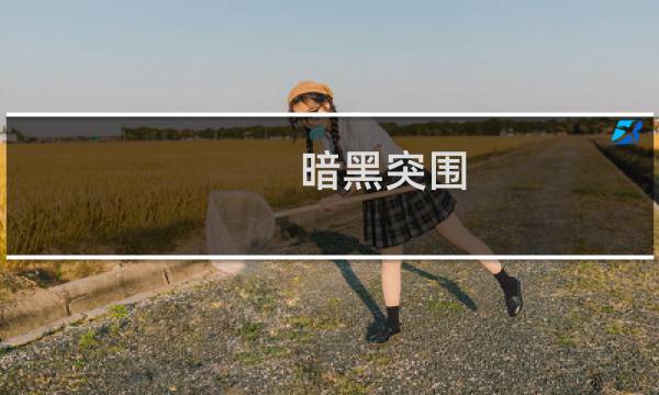 暗黑突围 攻略