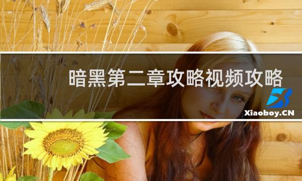 暗黑第二章攻略视频攻略