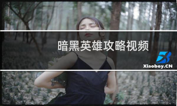 暗黑英雄攻略视频