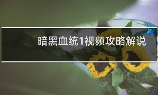 暗黑血统1视频攻略解说