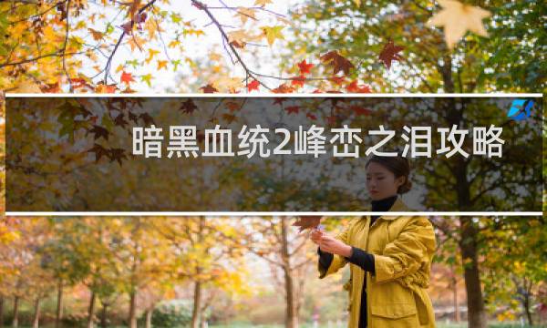 暗黑血统2峰峦之泪攻略