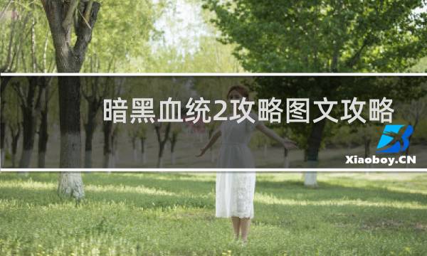 暗黑血统2攻略图文攻略