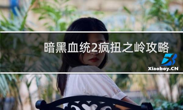 暗黑血统2疯扭之岭攻略