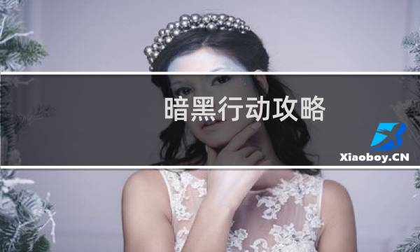 暗黑行动攻略