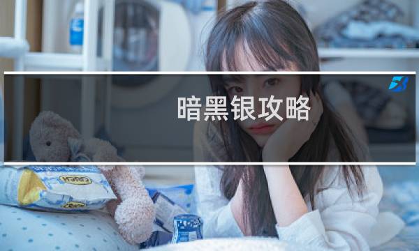 暗黑银攻略