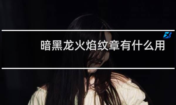 暗黑龙火焰纹章有什么用