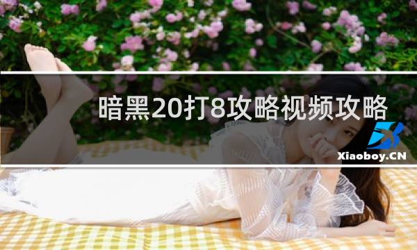 暗黑20打8攻略视频攻略