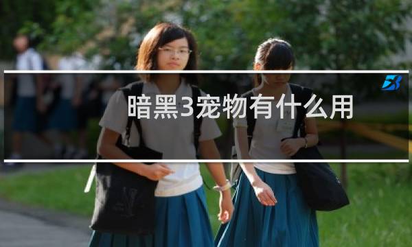 暗黑3宠物有什么用