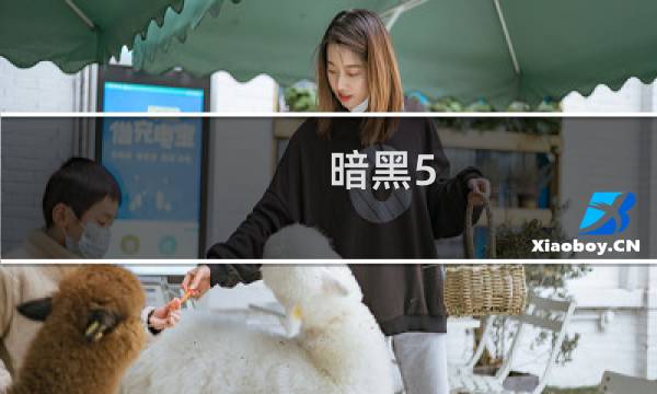 暗黑5.5攻略