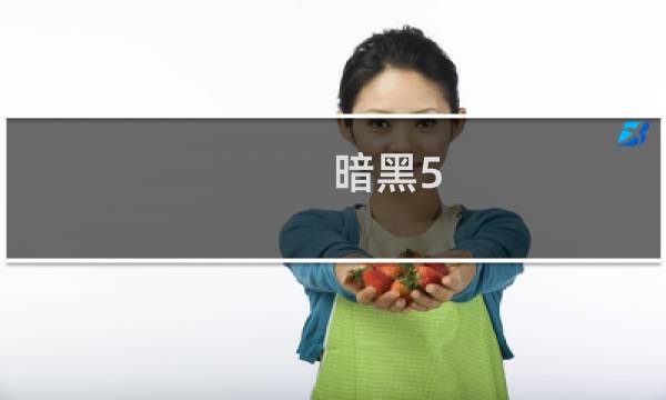暗黑5.6攻略