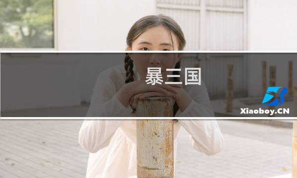 暴三国 攻略
