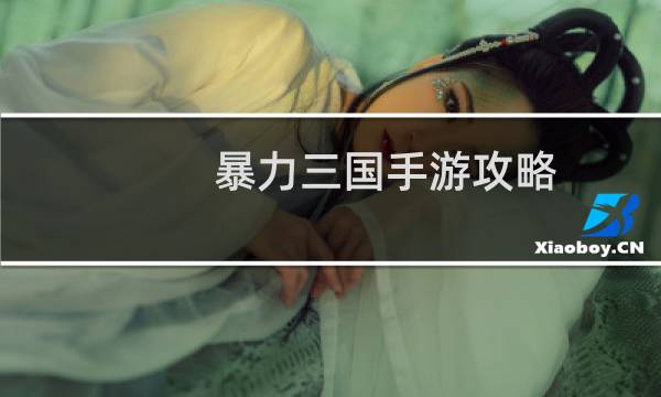 暴力三国手游攻略