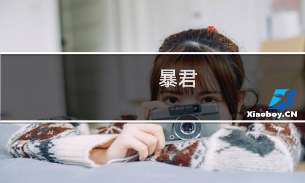 暴君 操作攻略